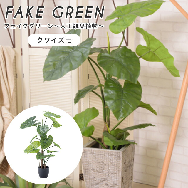 人工観葉植物 フェイクグリーン 観葉植物 造花 手軽にお部屋に緑を！ フェイクグリーン クワイズモ おしゃれ 水やり不要 ギフト お祝い 新築祝い 誕生日 結婚祝 大型 小型 インテリア リビング 室内｜家具のホンダ