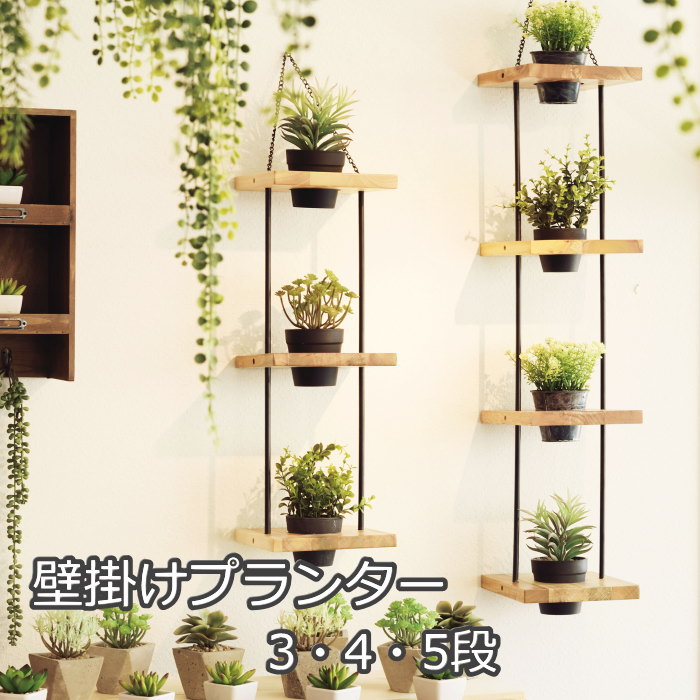 窓掛け特集