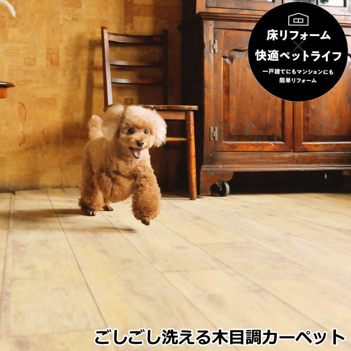 窓かけ特集