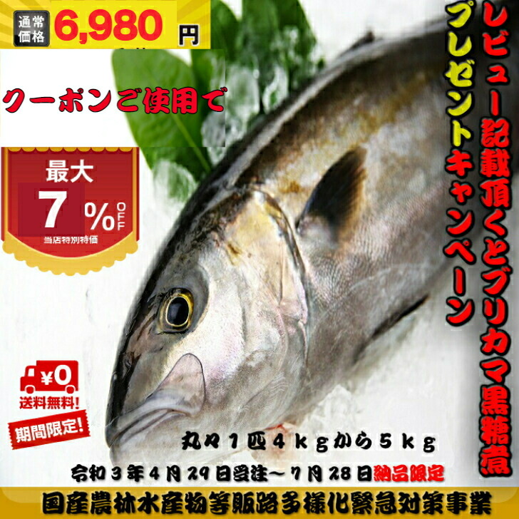 楽天市場 活〆カンパチ １尾 3 5ｋｇ 4 0ｋｇ 養殖 まるか水産楽天市場店