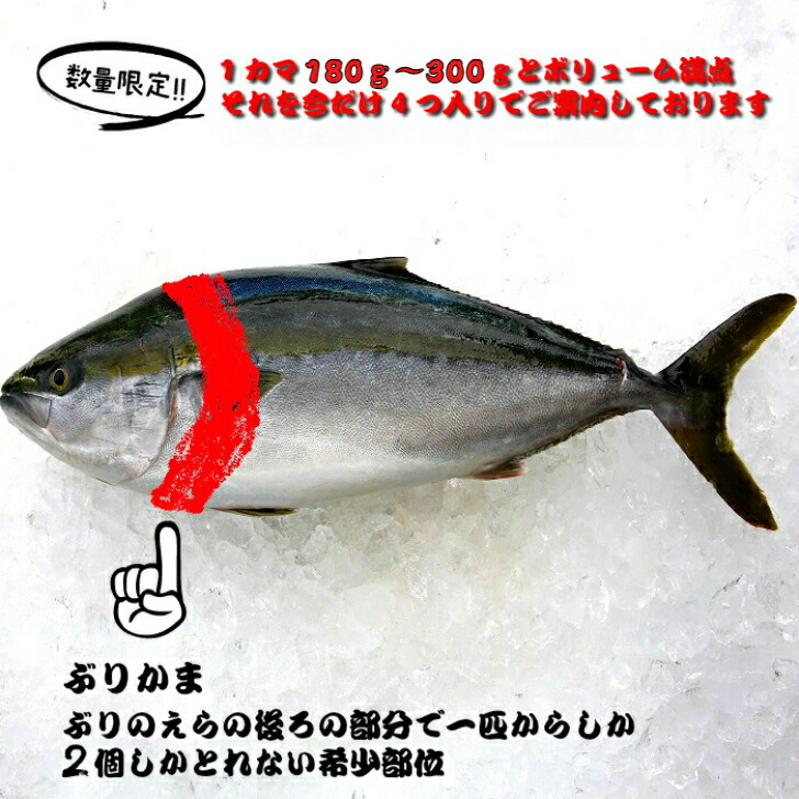 楽天市場 冷凍 天然ぶりカマ 加熱用 真空 4カマ入 約700g 10g 鹿児島県産 送料無料 ｂｂｑ 贅沢 産地直送 急速凍結 希少部位 大容量 ボリュームたっぷり 北海道 沖縄は1000円加算し ご請求いたします 骨まで愛して 目利きの山実水産