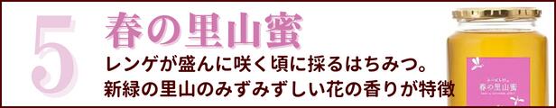 楽天市場】生産直売☆養蜂場から直接お届け！国産 はちみつ 春の里山蜜 600g 蜂蜜 ハチミツ 純粋 非加熱 完熟 生はちみつ 産地直送 2022年 新蜜  岐阜県産 5月の新緑の頃の里山に咲くの花( レンゲ・エゴノキ・フジなど)のみずみずしい香り 敬老の日ギフトにはちみつを ...