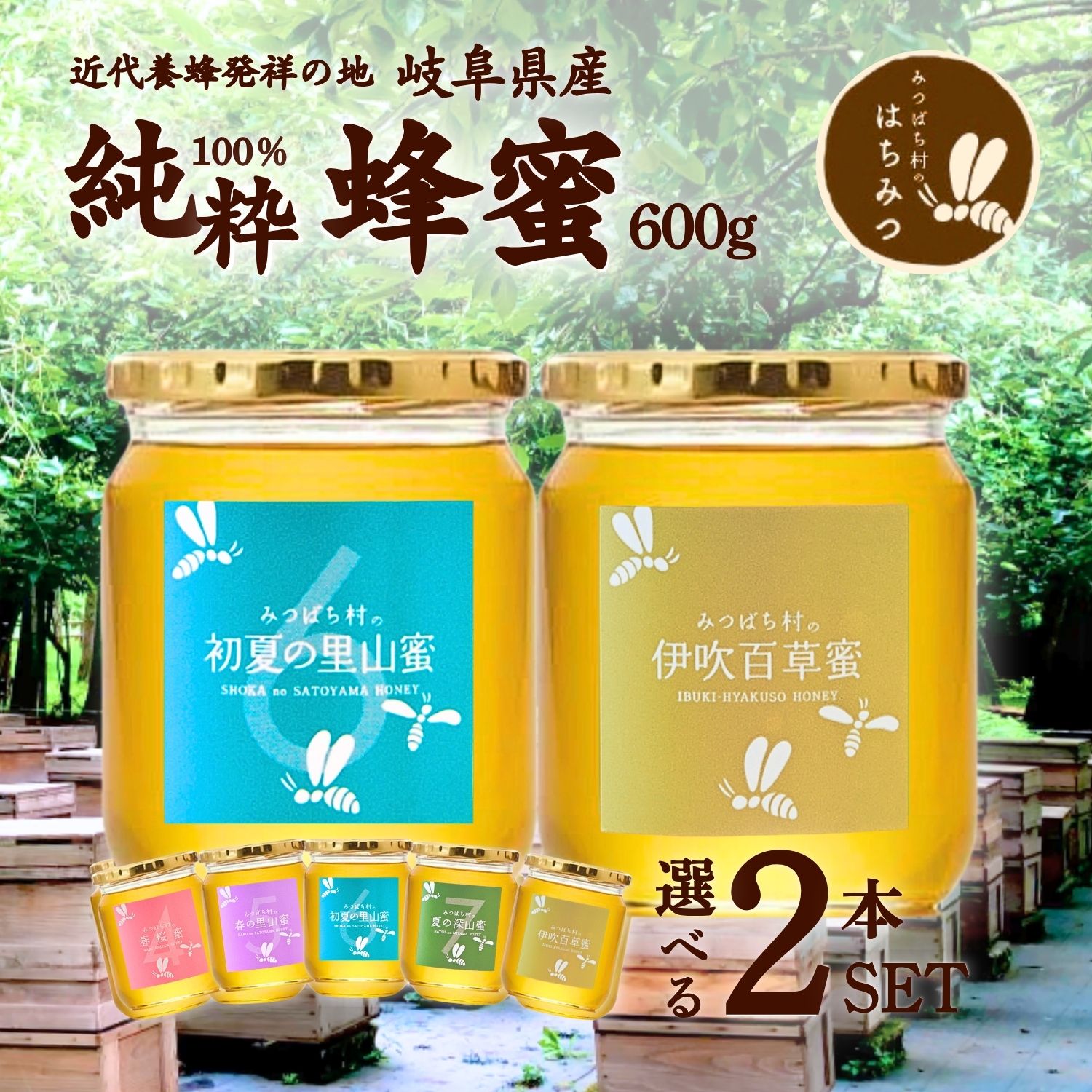 養蜂場から産地直送!  国産 はちみつ 【選べる600g2本セット】  蜂蜜 ハチミツ 非加熱 純粋 完熟 生はちみつ 送料無料 日本製 生産直売 岐阜県産 お歳暮 御年賀 寒中見舞 誕生日 ギフト 備蓄 非常食 保存食 春日養蜂場 HONEY ハニー 百花蜜