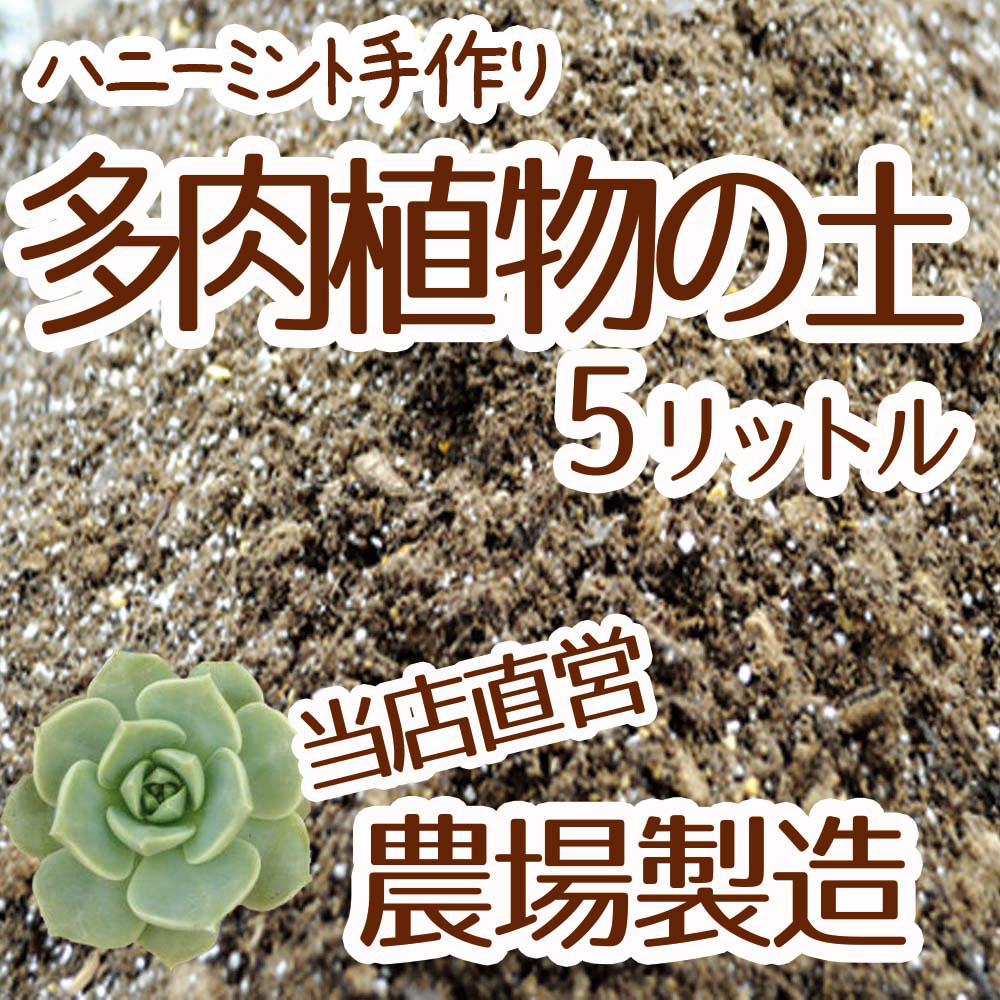 楽天市場 当店農場生産 多肉植物 セダムの土 5リットル入1袋 多肉植物が元気に育つ 培養土 ハニーミント