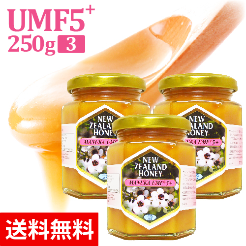 マヌカハニー UMF15+ 250g 3個セット 賞味期限2027 11月 Yahoo!フリマ