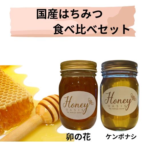 国産はちみつ食べ比べ 500ｇ2本セット 1000ｇ 卯の花ケンポナシ はちみつ 国産 完熟 国産 生はちみつ はちみつ  はちみつセット 天然 非加熱 純粋 ハチミツ 蜂蜜 美味しい 瓶詰め ギフト 贈答 高級 お取り寄せ 国産はちみつ 日本製 無添加 無農薬