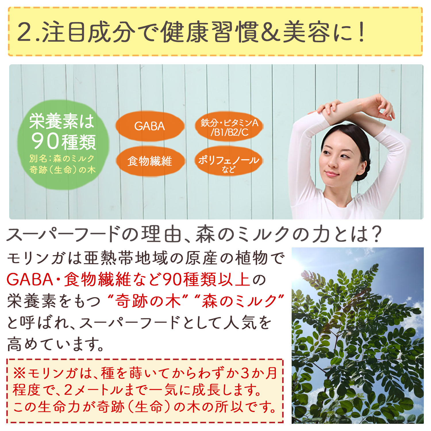 話題の人気 オーガニック 有機JAS認定 滋賀県産 有機モリンガ粉末 100g x 10袋 栽培期間中農薬不使用 国産 モリンガ モリンガパウダー  モリンガ茶 青汁ノンカフェイン P20SE 送料無料 セ fucoa.cl