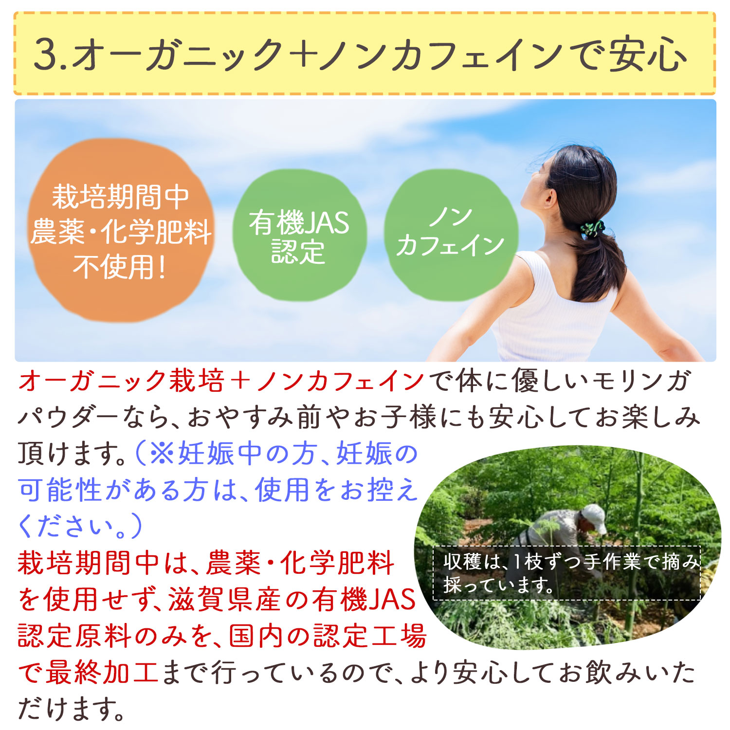 話題の人気 オーガニック 有機JAS認定 滋賀県産 有機モリンガ粉末 100g x 10袋 栽培期間中農薬不使用 国産 モリンガ モリンガパウダー  モリンガ茶 青汁ノンカフェイン P20SE 送料無料 セ fucoa.cl