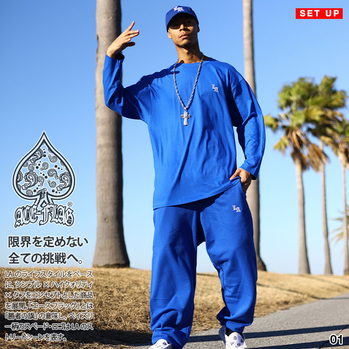 楽天市場】ACE FLAG 上下セット 長袖 ブランド スケボー メンズ