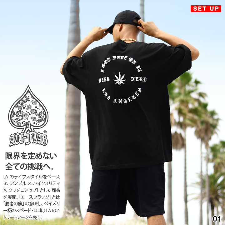 【43%OFF】ACE FLAG 上下書き割り 半袖 ブランド名 ティーシャツ 二分の一ズボン下 メンズ 春夏用 全2色 馬鹿でかい大いさ はやりっ子信号旗 セットアップ 汗水 バッズ 大麻 マリファナ ヘンプ HERB NERD ハーブナード b系 御居処跳ねる 表どおり系 御機嫌 AF-SE-TS-166