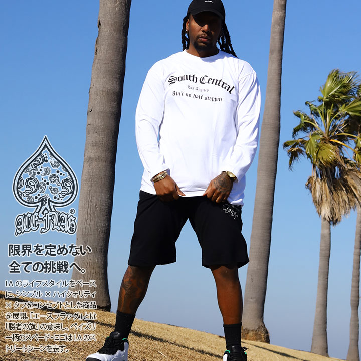 楽天市場】ACE FLAG 上下セット 長袖 Tシャツ ロンT ブランド