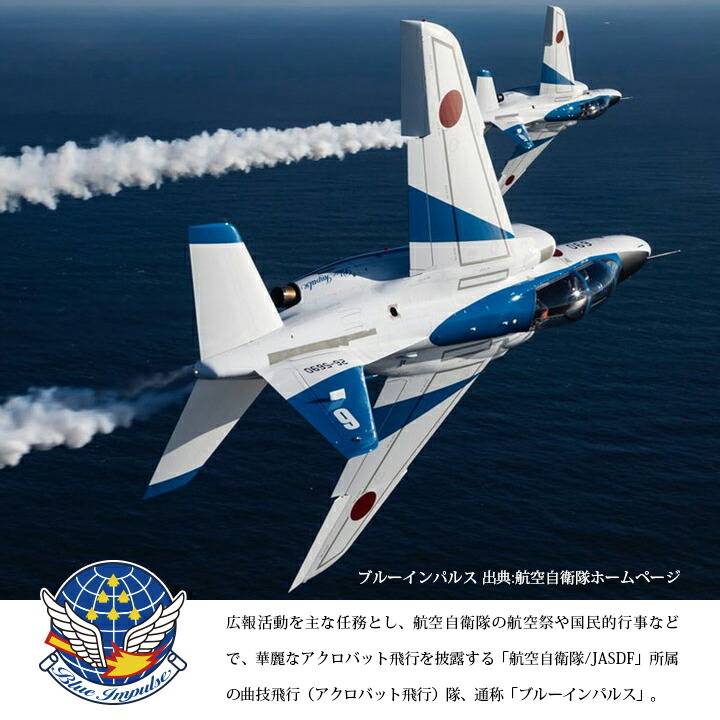 新田原基地 航空自衛隊 F15J 航空祭 キーホルダー ネクタイピン - 通販