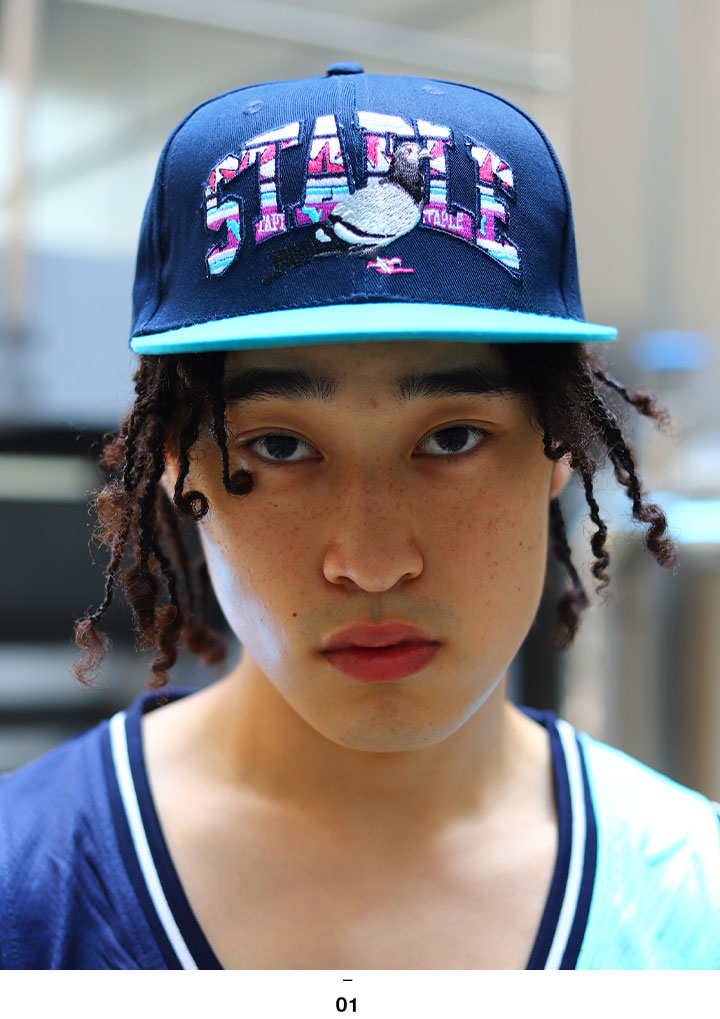 Staple キャップ メンズ レディース 春夏秋冬用 紺 ステイプル 帽子 Cap 深め スナップバックキャップ おしゃれ かっこいい カレッジロゴ 90年代風 鳩 鳥 ロゴ 刺繍 B系 ヒップホップ ファッション ストリート系 ハイ ブランド 21夏 新作 2104x6513 Rvcconst Com