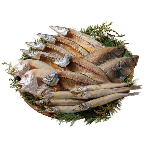 株式会社エルスト 母の日 山陰海鮮一夜干しセット 6366-50 ギフト 贈り物 送料無料 【産直】[24]