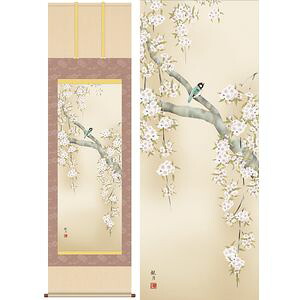 桜花に小鳥／おうかにことり　尺八　幅54.5×高さ約190cm　森山観月／もりやまかんげつ　季節飾り　花鳥画　春掛け 掛け軸 掛軸 [