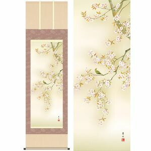 桜花に小鳥／おうかにことり　尺八　幅54.5×高さ約190cm　緒方葉水／おがたようすい　季節飾り　花鳥画　春掛け 掛け軸 掛軸 [2