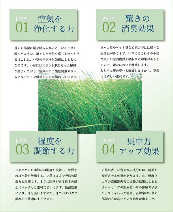 史上最も激安 ポイント5倍 純国産糸引織い草上敷 湯沢 団地間8畳 約340 340cm 13 ポイント増量中 超お買い得大特価 史上最も激安 ポイント5倍 純国産糸引織い草上敷 湯沢 団地間8畳 約340 340cm 13 ポイント増量中 超お買い得大特価