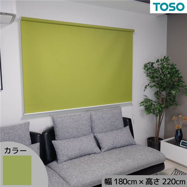 窓にも間仕切にも活躍 採光プレーンロールスクリーン グリーン 約幅180cm×高さ220cm【代引不可】[21]
