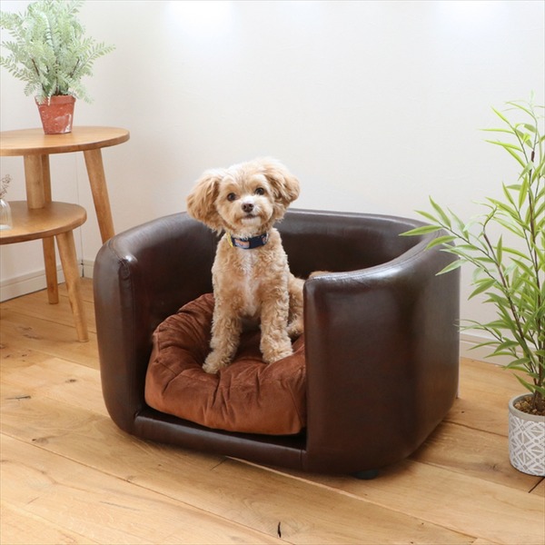 ペット用 ベッド ソファ 犬用 猫用 JUNO ジュノ BR ブラウン ペット用品【代引不可】[21]｜本家屋