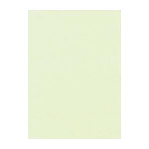 （まとめ） 文運堂 ニューカラーR 四ツ切 横392×縦542mm 4NCR-133 メロン 100枚入 【×2セット】[21]