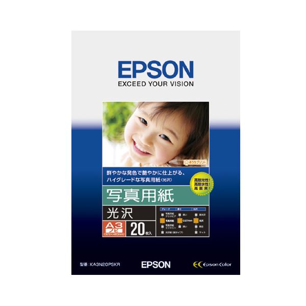 (まとめ）エプソン EPSON 活動写真質問用紙＜光輝＞ A3ノビ KA3N20PSKR 1冊(20枚)【×3仕かける】[21]