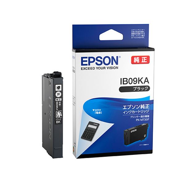 楽天市場】(まとめ) 【純正品】 EPSON(エプソン) IB09CB インク