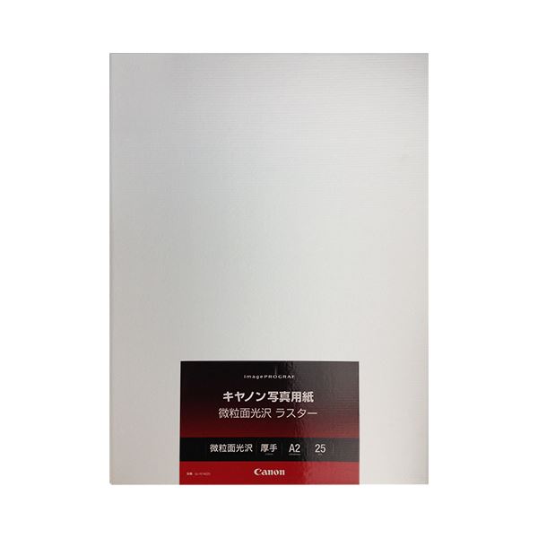 キヤノン 第八芸術質問用紙・素粒子面光輝 ラスター260g LU-101A225 A2 6211B024 1冊(25枚)[21]