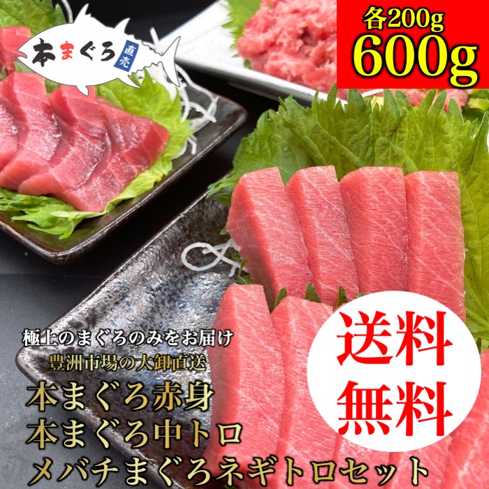 本まぐろ赤身 中トロ ネギトロセット 各0g 600g 天然まぐろ 天然 マグロ まぐろ 鮪 刺身 刺し身 海鮮丼 手巻き寿司 トロ 切り身 まぐろ切り落し 贈り物 プレゼント 御祝 内祝 ギフト ファミリー 家族用 食品 おかず 赤身 贈答 再入荷 予約販売
