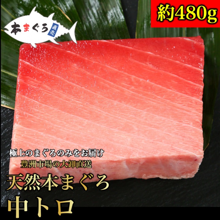 ★【C】天然本まぐろ中トロ柵 約480gギフト お歳暮 年末年始　（天然まぐろ 天然 マグロ まぐろ 鮪 刺身 刺し身 海鮮丼 トロ 切り身 まぐろ切り落し 送料無料 贈り物 御祝 内祝 ギフト ファミリー 家族用 食品 中トロ)