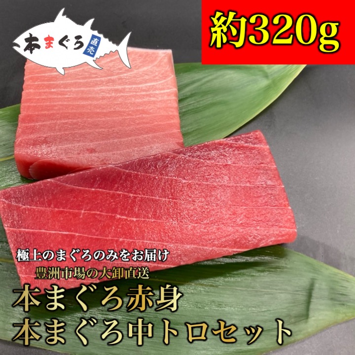★なくなり次第終了 ごちそう 本まぐろ赤身・中トロセット 　約320g（母の日 父の日 天然まぐろ 天然 マグロ まぐろ 鮪 刺身 刺し身 海鮮丼 手巻き寿司 トロ 切り身 贈り物 御祝 内祝 ギフト 敬老の日　祖父・祖母)