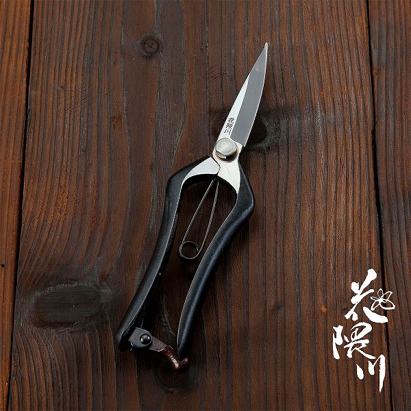 本格型芽切り鋏　大、小　５０セット 楽天市場】大進 ステンレス ギザ刃 芽切鋏 185mm 収穫 芽切 園芸