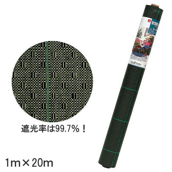 imgrc0116478837.jpg