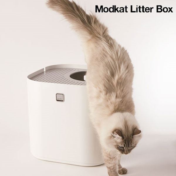 楽天市場】Modkat フリップリターボックス専用 ペーパーライナー