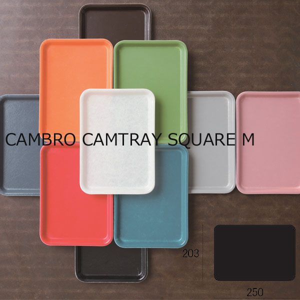 CAMBRO キャンブロ　トレー　12枚セット 楽天市場】トレー カフェ トレー トレイ お盆 キャンブロ