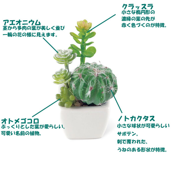 楽天市場 サキュレントリフレリウム 消臭アーティフィシャルグリーン Kh Hono 照明 インテリア雑貨