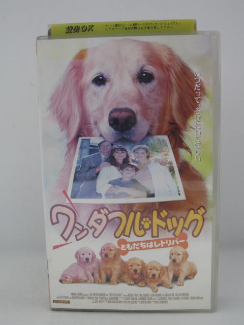 楽天市場 H5 中古 Vhsビデオ 日本語吹替版 ワンダフル ドッグ ともだちはレトリバー 監督 ポール シュナイダー 出演 ロバート ヘイズ ロバート ワグナー メル ハリス 他 ｓａｌｅ ｗｉｎｄ