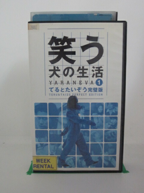 楽天市場 H5 137 中古 Vhsビデオ 笑う犬の生活1てるとたいぞう完璧版 内村光良 ネプチューン 遠山景織子 ｓａｌｅ ｗｉｎｄ