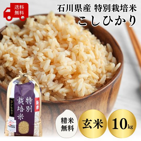 有機肥料栽培！美味しい阿東產コシヒカリ玄米30キロ