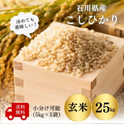 楽天市場】【石川県産 米 20kg】令和7年産コシヒカリ20kg(10kg×2 楽天市場】【石川県産 米 20kg】令和7年産コシヒカリ20kg(10kg×2
