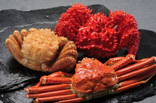 北海道産 三大かに 食べくらべセット（毛がに・花咲がに・おおずわいがに 各1尾）贈答用