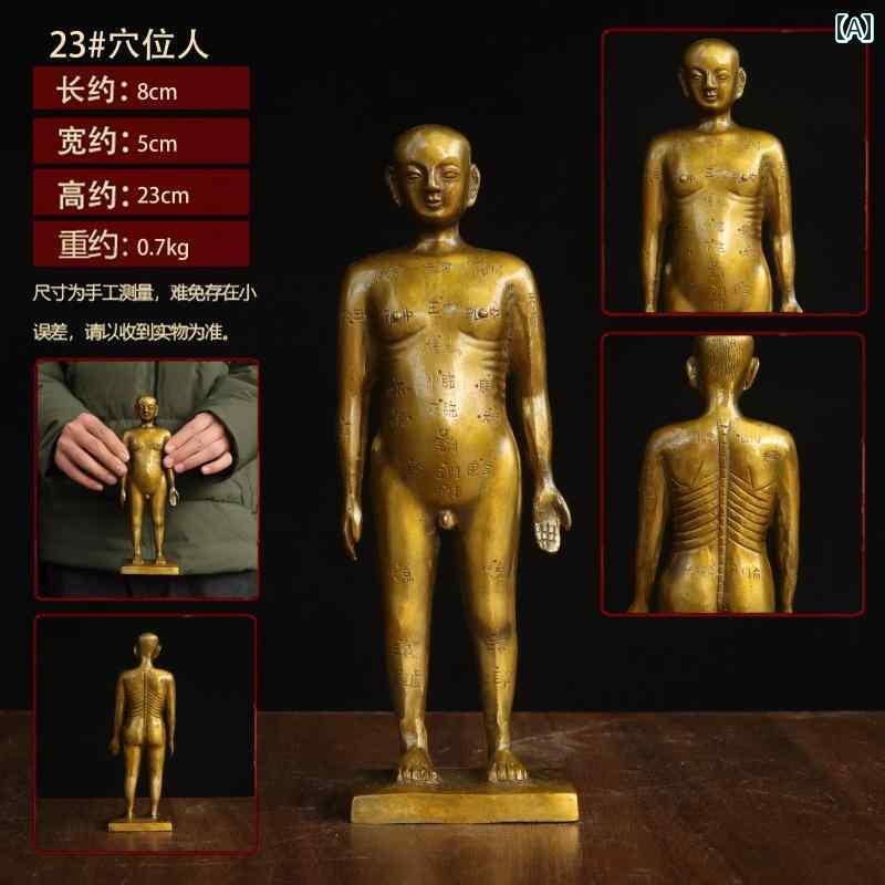 室内装飾 オブジェ 今めかしい 鍼灸 ブロンズ 成人男性 中国 医科 博物 館の かざり付ける品 経 絡 ツボ 培養 かざり付ける 有待 個条