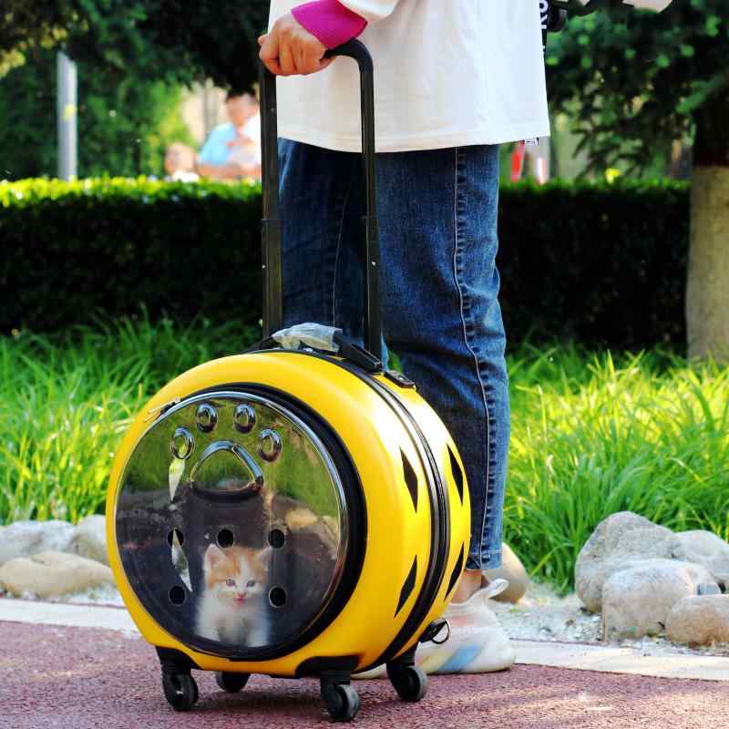 ペットキャリー 猫用 犬用 バックパック 旅行ケース 透明 航空対応 手提バッグ 携帯 軽量 外出 室内外兼用 耐久性 通気性｜ホープ