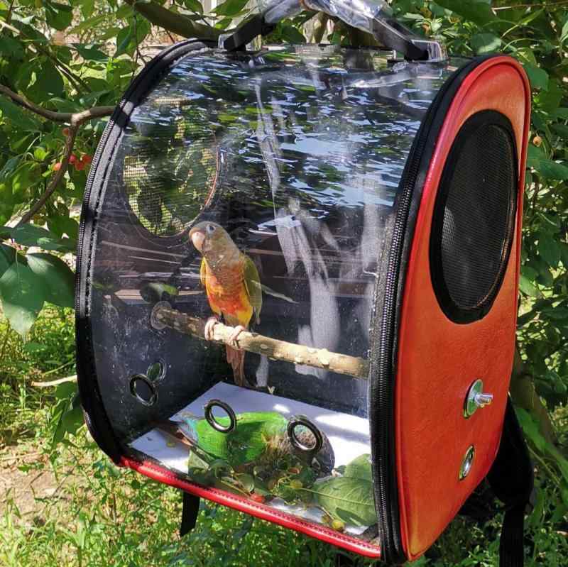 インコ用 バックパック型 鳥かご 透明窓 持ち運びキャリー 中小型対応 外出散歩用 軽量ポータブル 耐久性 通気性 肩掛け可能 旅行対応