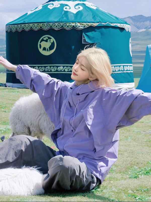アウトドアジャケット レディース パープル 防風 三合一 ハイキング トレッキング 旅行用 軽量 防水 伸縮性