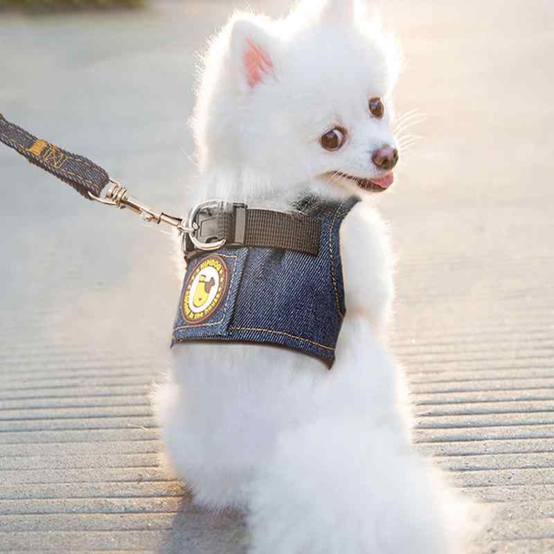 小型犬用 より良い馬具 先んじる ほっつき歩く用 愛玩動物グッズ 合わせる能力のある 軽さ 安全性のある心積もり 好いたらしい相応う