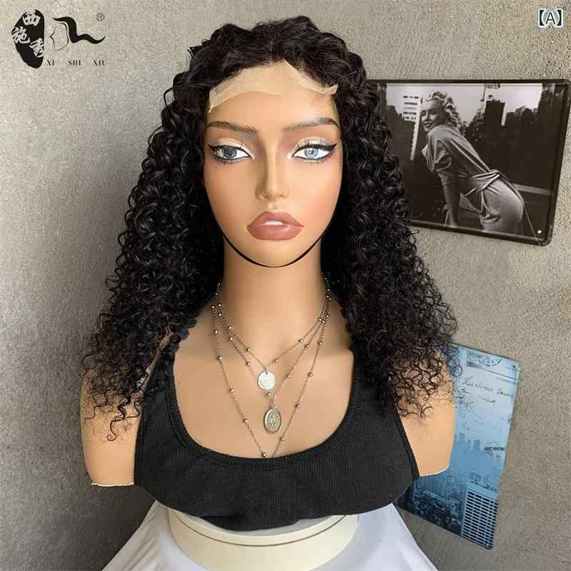 ウィッグ 女性用 アフリカンスタイル ロング カーリー ミックスヘア レース フルカバー ナチュラルボリューム スタイリング簡単 日常使い 合成繊維 ミックス素材 自然な質感 ボリュームアップ ヘアセット ロングヘア 巻き髪 女性ヘア ファッションウィッ