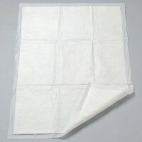竹虎 吸いいれるつや消し S 450mm×600粍 100枚入 075022