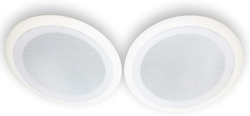 楽天市場】天井埋込型 スピーカー 6インチ 18.5cm 3W 8Ω ロー