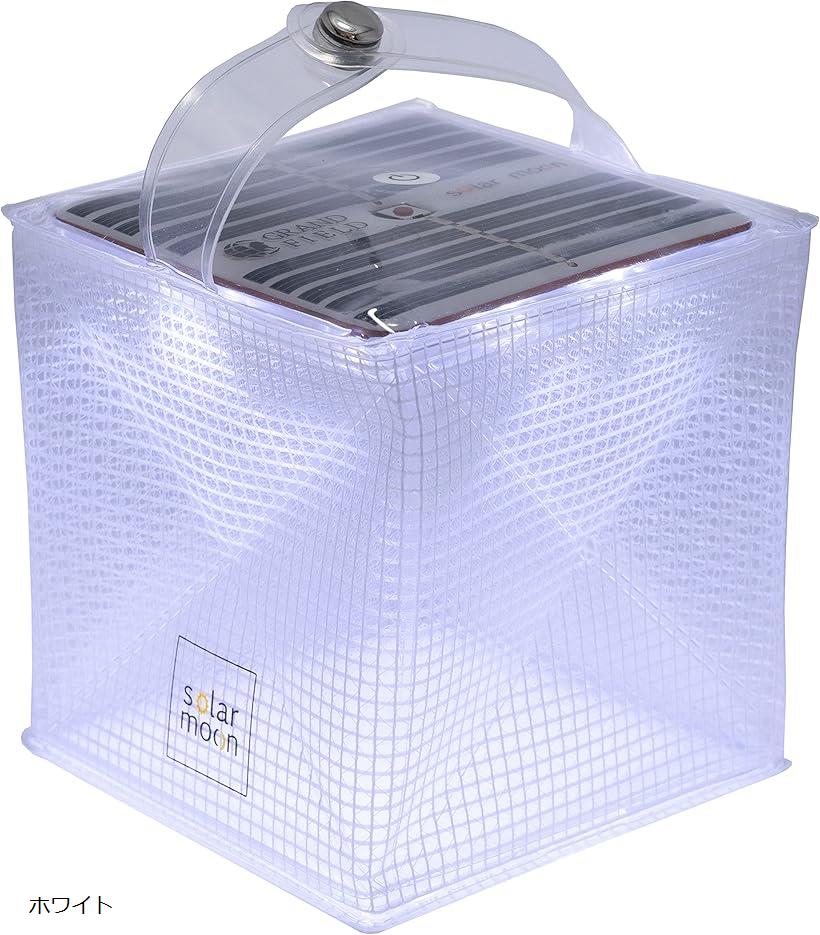 楽天市場】SOLAR ORNITHOPTER ソーラーオーニソプタenn : 京都 蔦屋書店