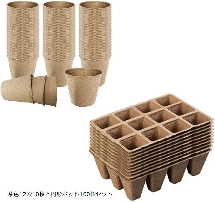 楽天市場】育苗ポット トレー トレイ カップ 箱 種まきポット 園芸